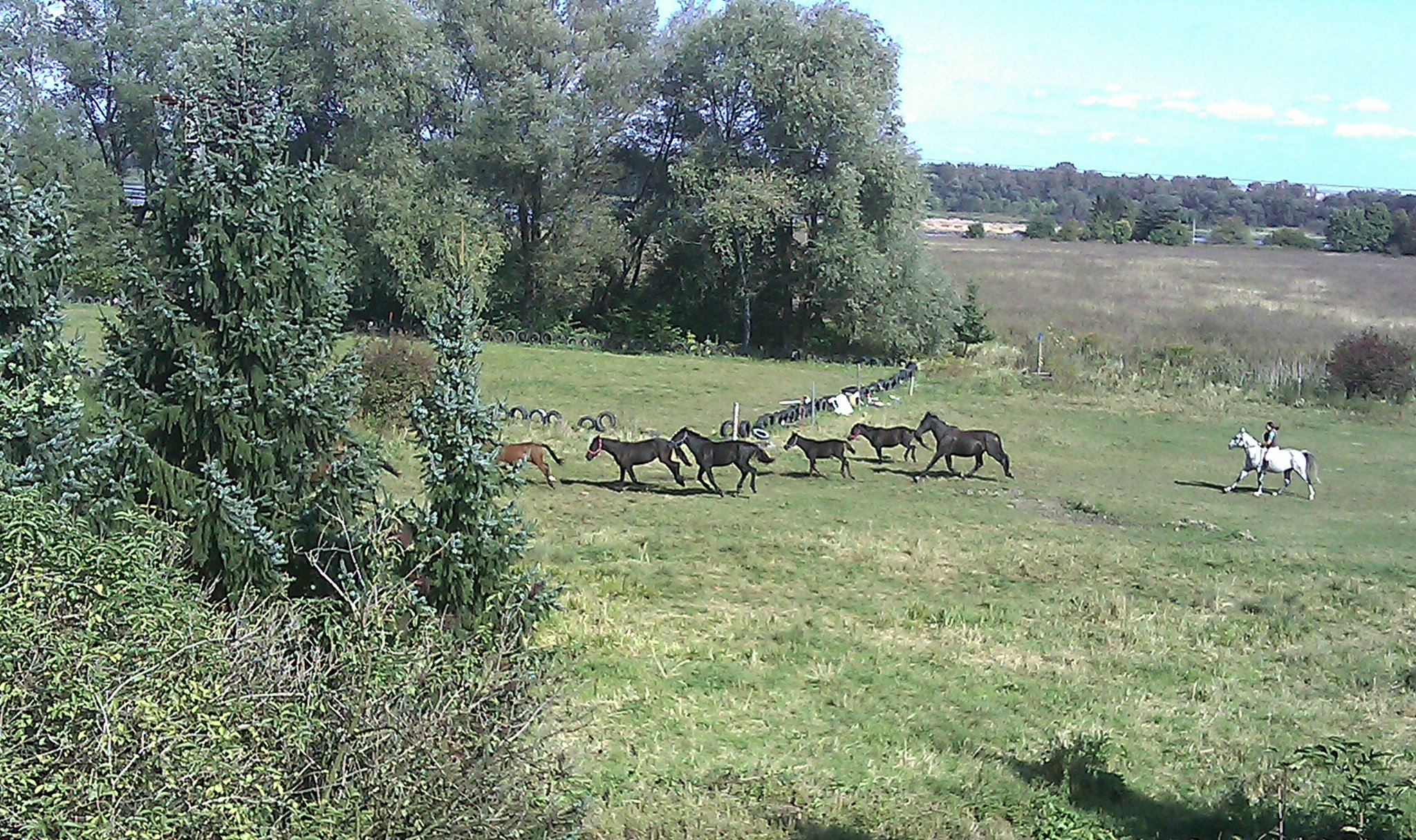 Snímek 3 003