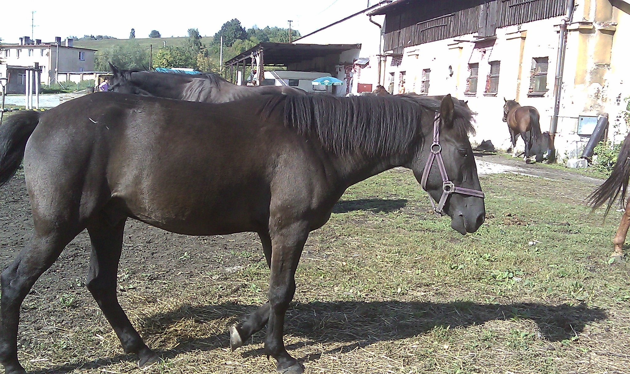 Snímek 3 005