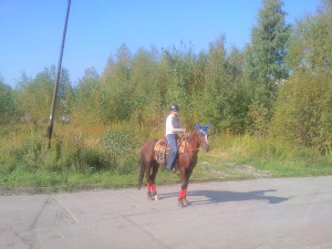 snc00387.jpg