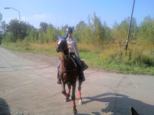 snc00389.jpg