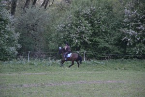 dsc_0492.jpg
